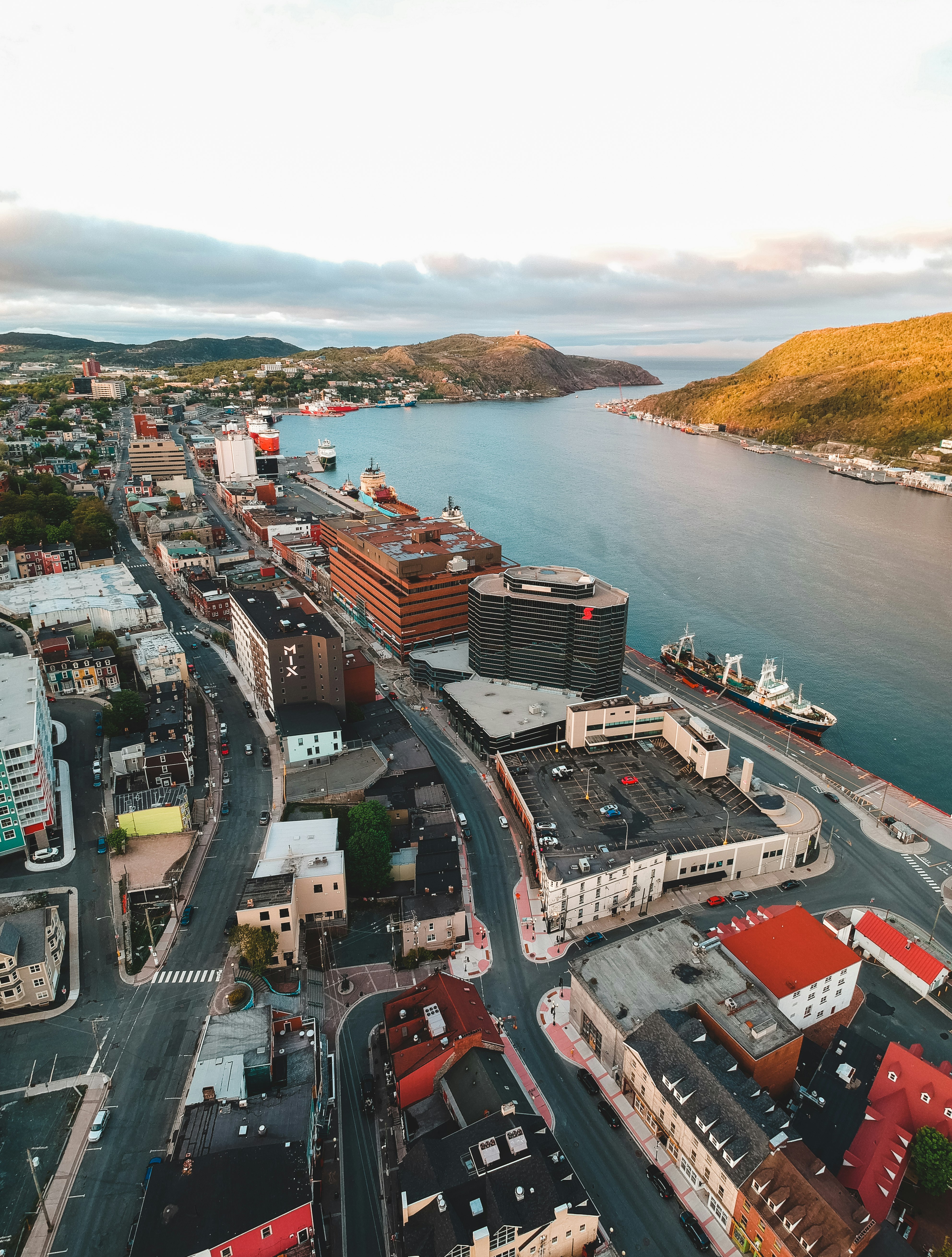 aerial view of city buildings near body of water during daytime